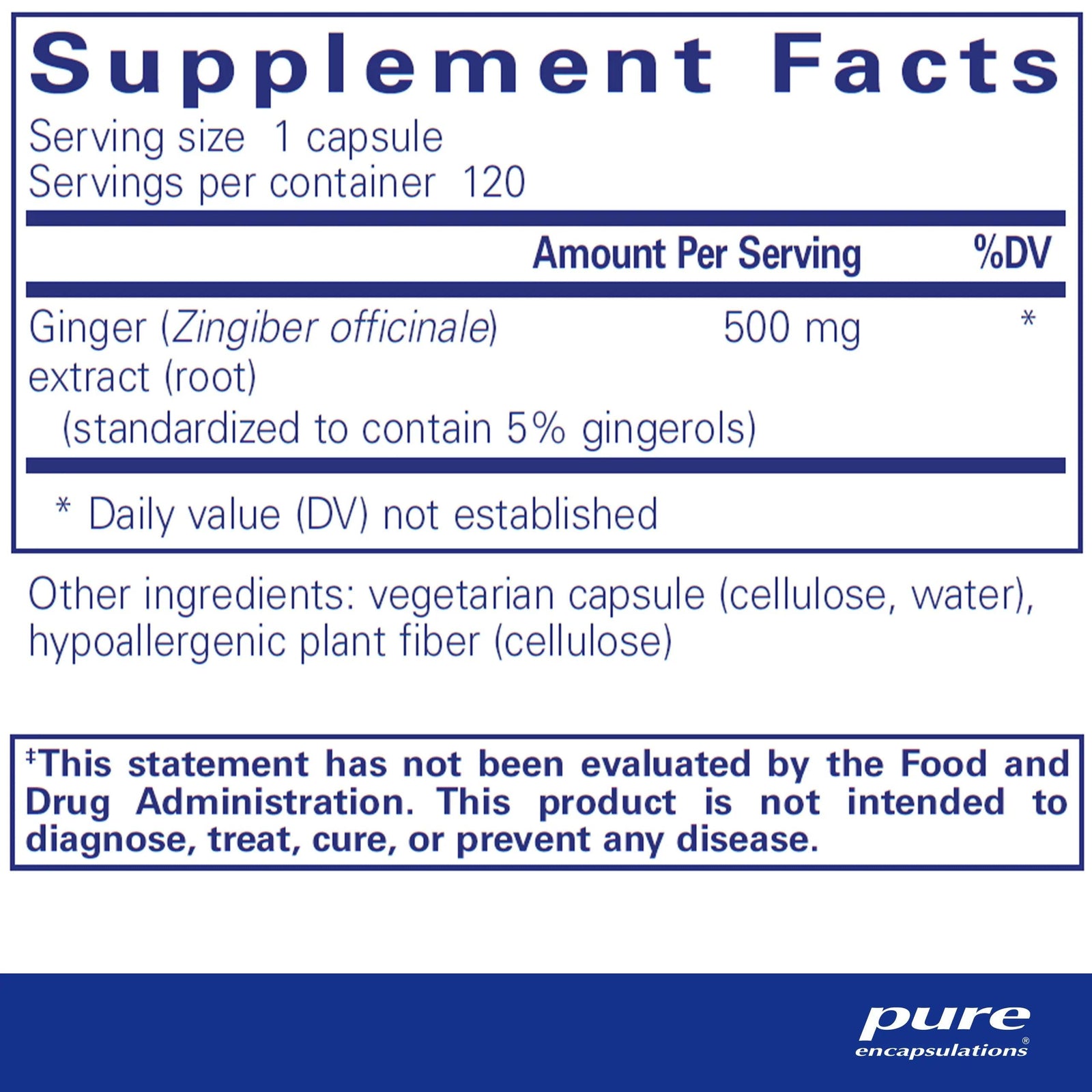 Ginger Extract - Pharmedico