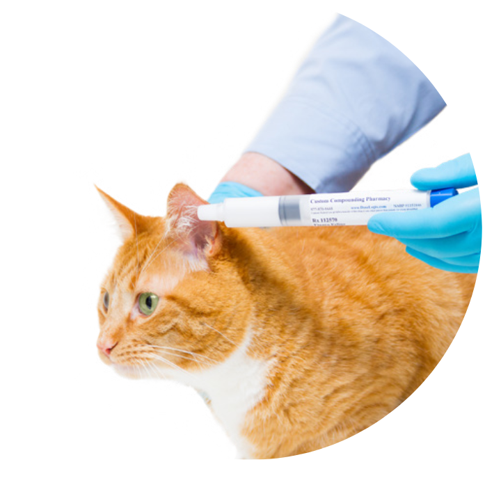 Vet Medicines