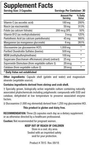 Supplement Facts label for ChondroSamine Plus showing a serving size of 3 capsules, containing vitamins C, niacin, folate, B12, pantothenic acid, manganese, 1,000 mg of glucosamine HCl, 500 mg of purified bovine chondroitin sulfates, and MSM