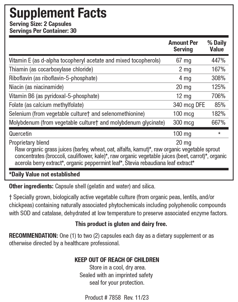 Supplement Facts label for TolerAid showing 30 servings per container with a serving size of 2 capsules, detailing Vitamin E, Thiamin, Riboflavin, Niacin, Vitamin B6, Folate, Selenium, Molybdenum, 100 mg Quercetin, and a 20 mg Proprietary blend.