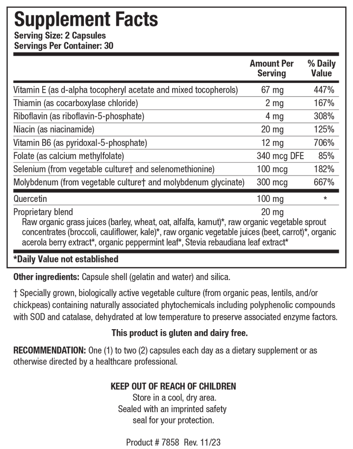 Supplement Facts label for TolerAid showing 30 servings per container with a serving size of 2 capsules, detailing Vitamin E, Thiamin, Riboflavin, Niacin, Vitamin B6, Folate, Selenium, Molybdenum, 100 mg Quercetin, and a 20 mg Proprietary blend.
