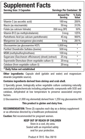 ChondroSamine Plus - Pharmedico