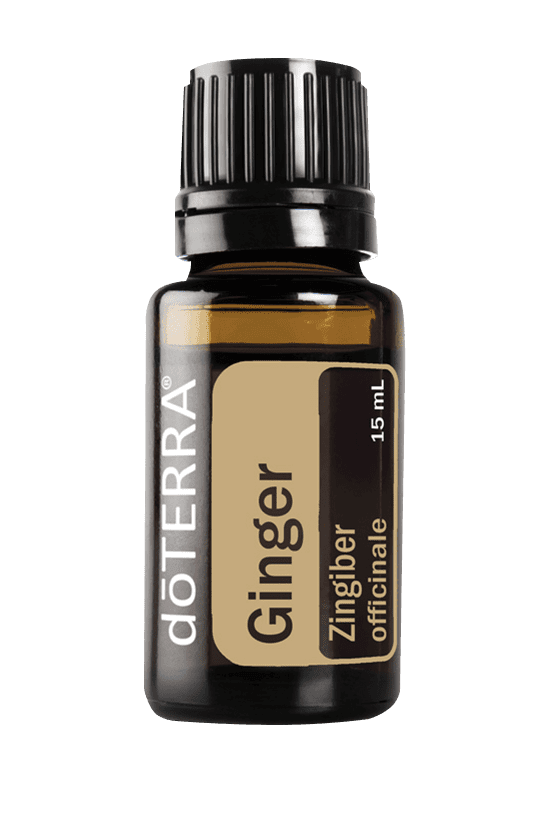 doTERRA Ginger Oil (Zingiber officinale) - Pharmedico