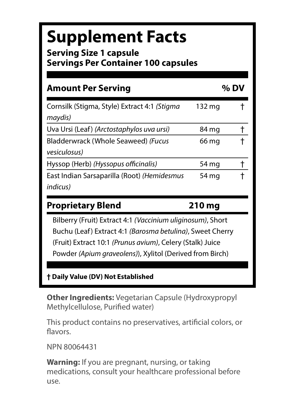 Supplement Facts label showing a serving size of 1 capsule and 100 servings per container, detailing Cornsilk Extract, Uva Ursi Leaf, Bladderwrack, Hyssop Herb, East Indian Sarsaparilla Root, and a 210 mg proprietary blend containing Bilberry Fruit Extract, Short Buchu Leaf Extract, Sweet Cherry Fruit Extract, Celery Stalk Juice Powder, and Xylitol.