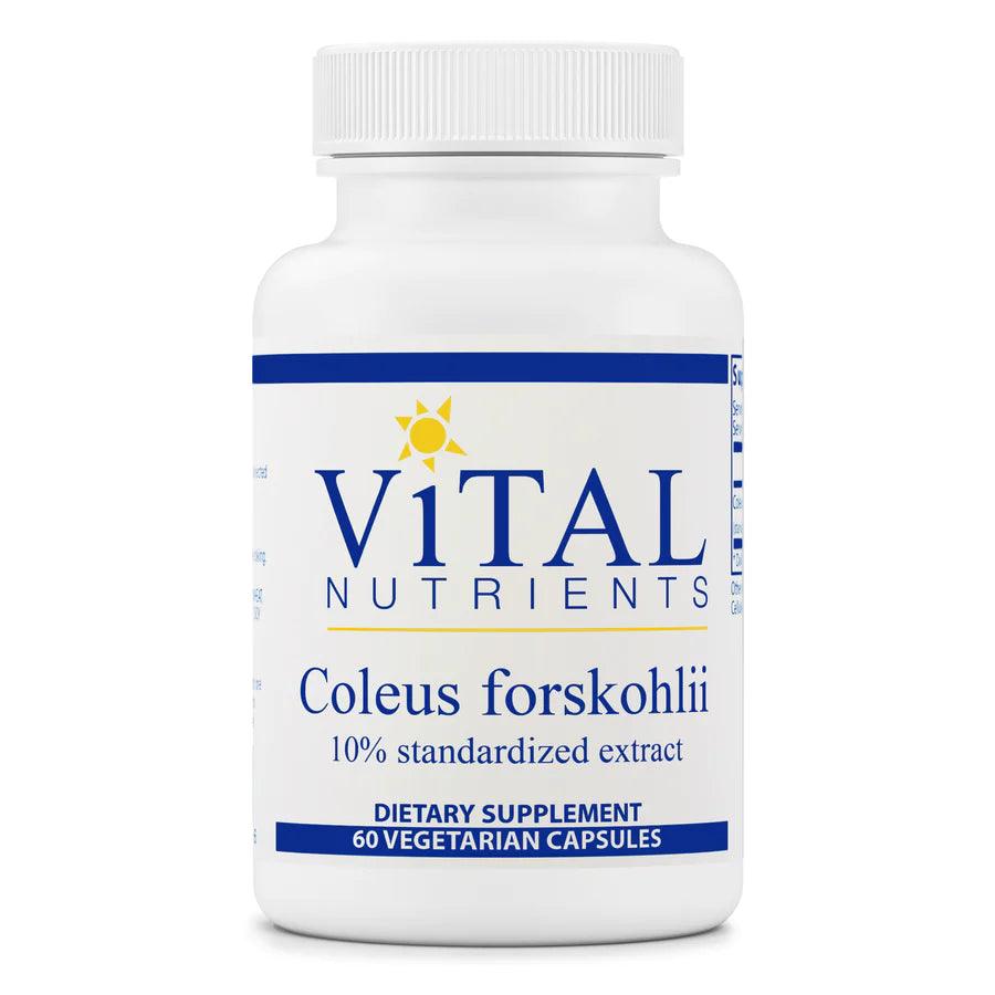 Coleus forskohlii 10% - 90mg - Pharmedico