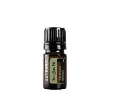 doTERRA Douglas Fir Oil  Pseudotsuga menziesii - Pharmedico