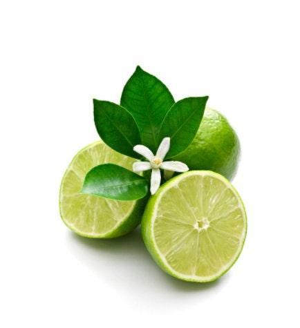 doTERRA Lime Oil  (Citrus aurantifolia) - Pharmedico